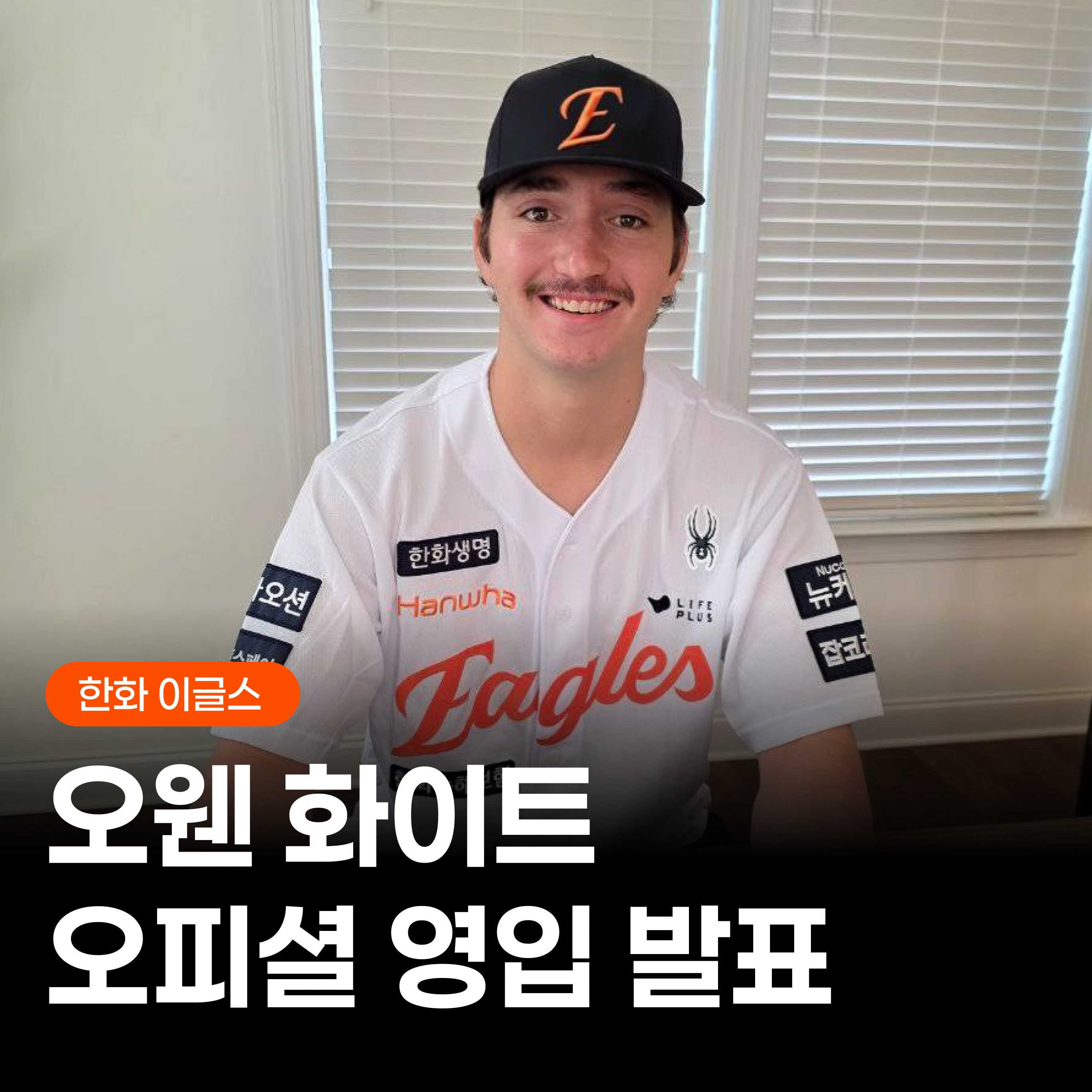 화이트